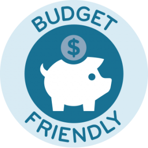 budget 300x300